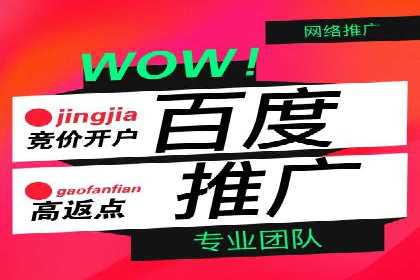 行业案例研究：SEM竞价托管的策略与挑战